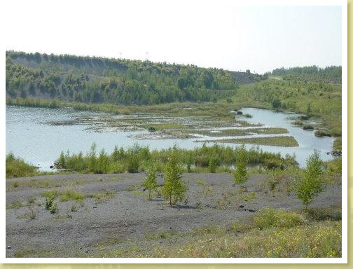 Rieulay_01.09.2011 (12)